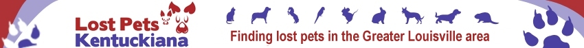 Find Lost Pets